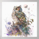 Search for owl portrait posters Wildlife
