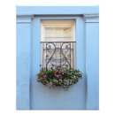 Search for window box posters Colourful