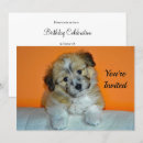 Search for sheepdog invitations Cute
