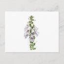 Search for foxglove flower postcards Flowers