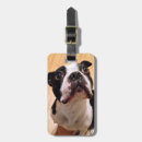 Search for boston terrier luggage tags Canine