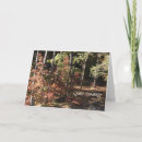 Search for prose cards Inspirational