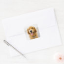 Search for golden smile stickers Puppy