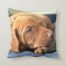 Search for vizsla cushions Pet