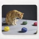 Search for ginger mouse mats Animals