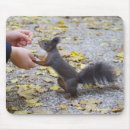 Search for red squirrel mouse mats Chipmunk