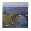 Search for washington state tiles Tree