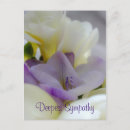 Search for deepest postcards Sympathy