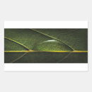 Search for botany rectangle stickers Garden