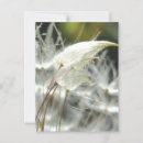 Search for seed postcards Elegant