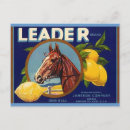 Search for thoroughbred postcards Vintage