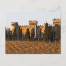 Search for vines postcards France