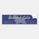 Search for collie dog bumper stickers Beardie