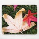 Search for colourful leaf mouse mats Orange