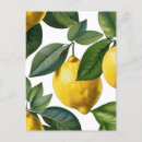 Search for kitchen designs postcards Lemon