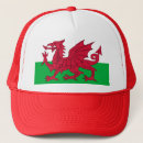 Search for dydd Welsh