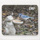Search for blue jays mouse mats Birds