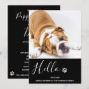 Search for new puppy invitations Modern