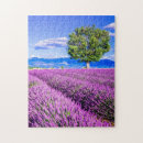Search for provence puzzles Travel