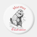 Search for marmot magnets Groundhog