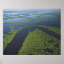 Search for amazon rainforest posters Travel