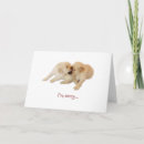 Search for mean cards Dog