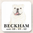 Search for bulldog coasters Smiling