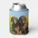 Search for dachshund food storage Animal