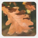 Search for crisps stickers Autumn