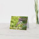 Search for monarch butterfly thank you cards Photography