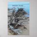 Search for indiana dunes posters Nature