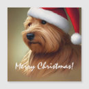 Search for norfolk cards Animals