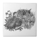 Search for quail tiles Hunting