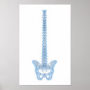 Search for backbone art Cutout