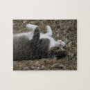 Search for upside down puzzles Cat