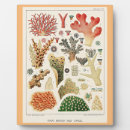 Search for marine biology gifts Vintage