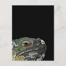 Search for desert animals postcards Reptiles