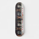 Search for parties skateboards Illustration