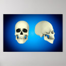 Search for jaw bone posters Human teeth
