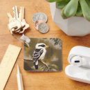 Search for kingfisher birds key rings Wildlife