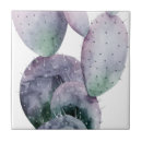 Search for cacti tiles Coastal