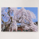 Search for cherry tree puzzles Sakura