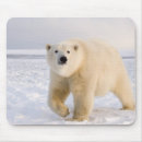 Search for steve mouse mats Wildlife