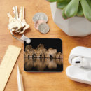 Search for lion pride key rings Africa