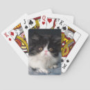 Search for baby playing cards Pet