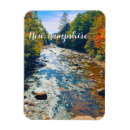 Search for thanksgiving magnets Leaves