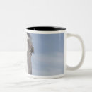 Search for clydesdale horse mugs Animal