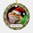 Search for santa dragon christmas tree decorations Cute