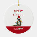 Search for racoon christmas tree decorations Xmas