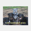 Search for dog paws photography Dogs
